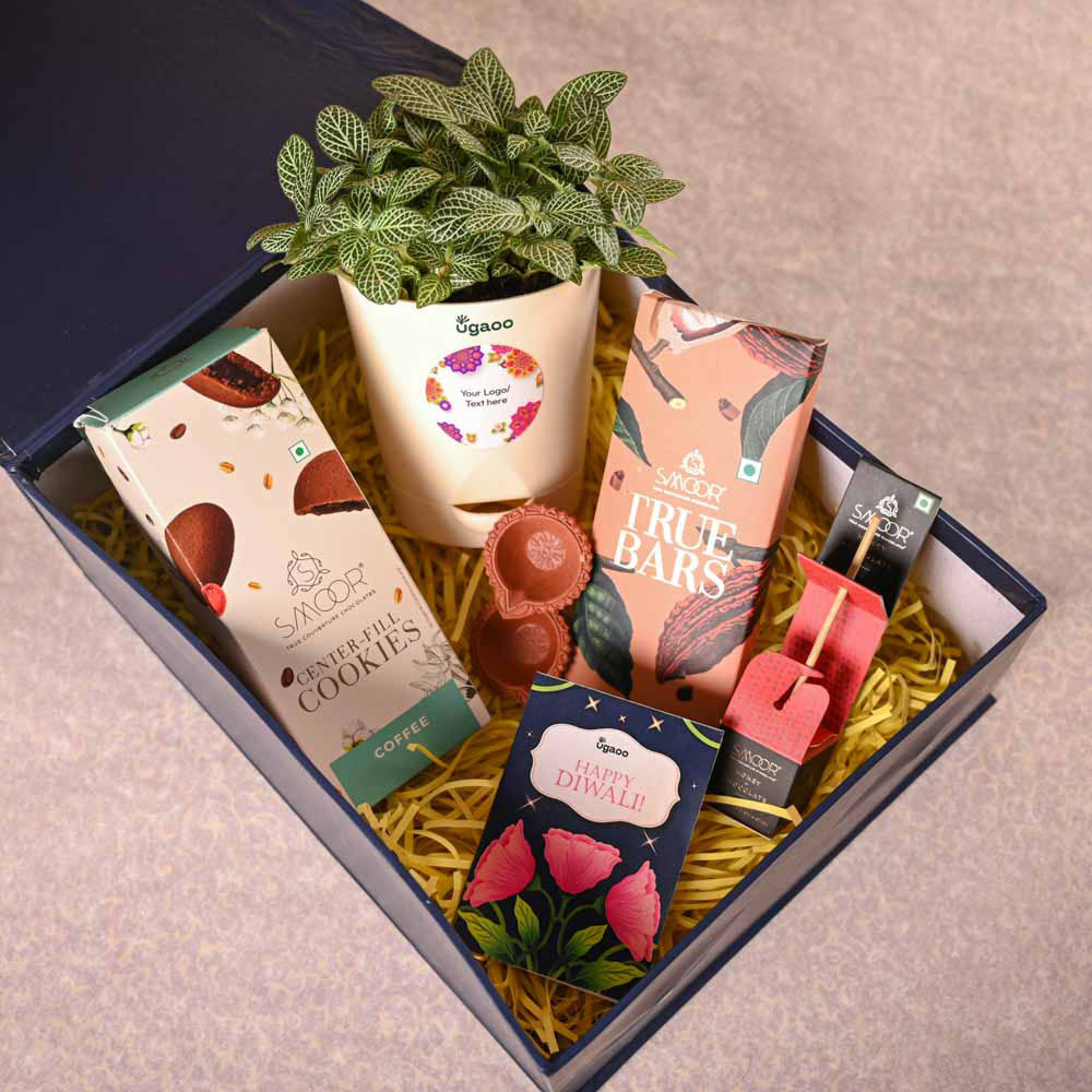 Fittonia Green Plant &amp; Smoor Diwali Gift Hamper