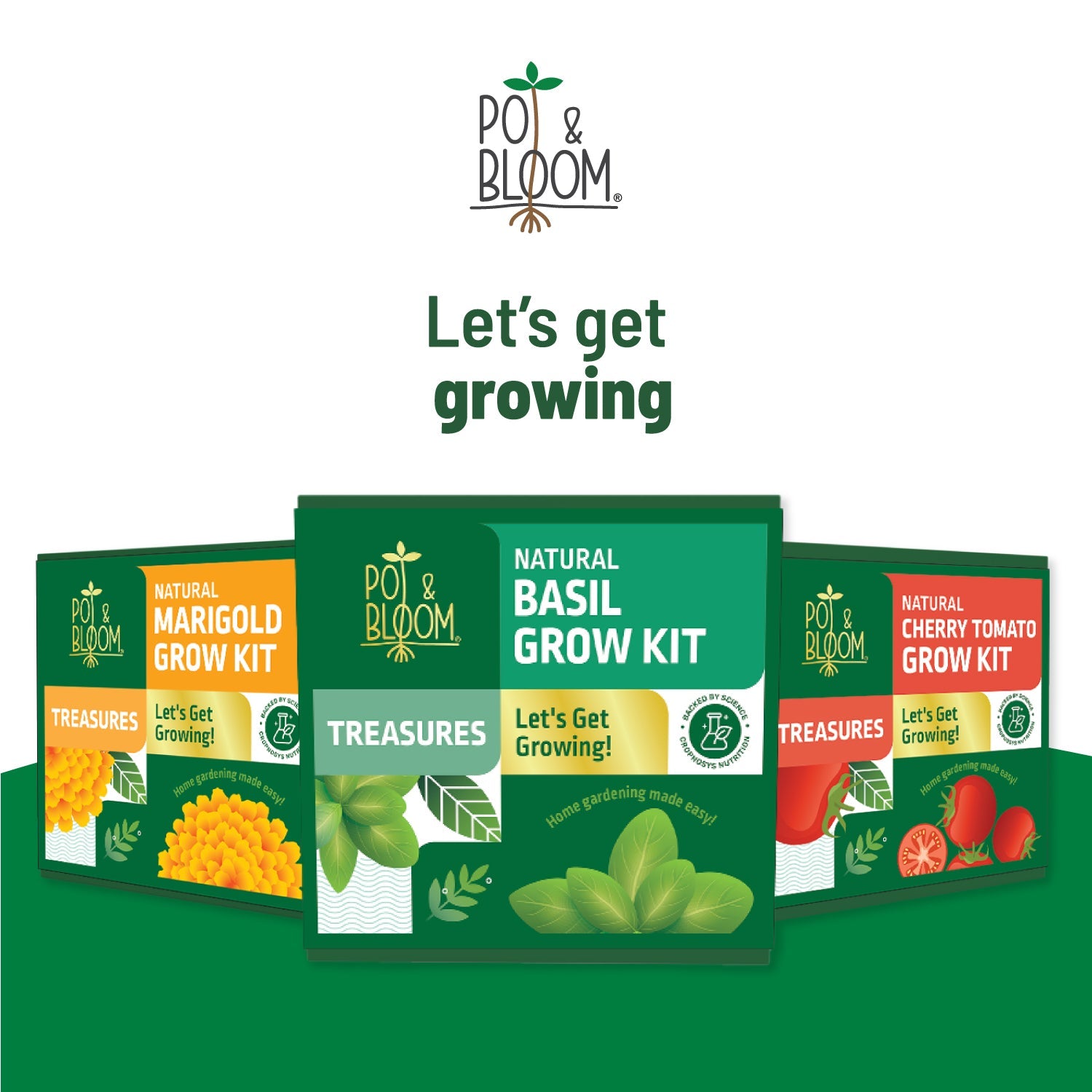 Treasures Basil Kit