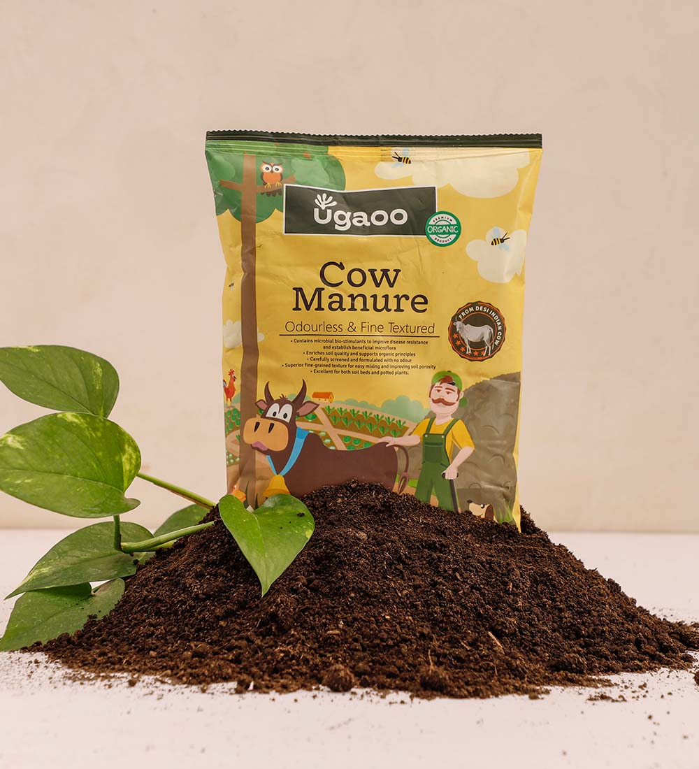 Cow Dung In Mumbai, Maharashtra At Best Price | Cow Dung Manufacturers,  Suppliers In Bombay