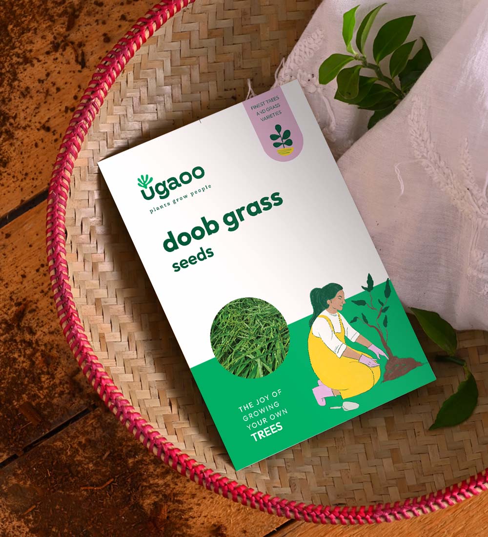 Doob Grass Seeds (Carpet Lawn)