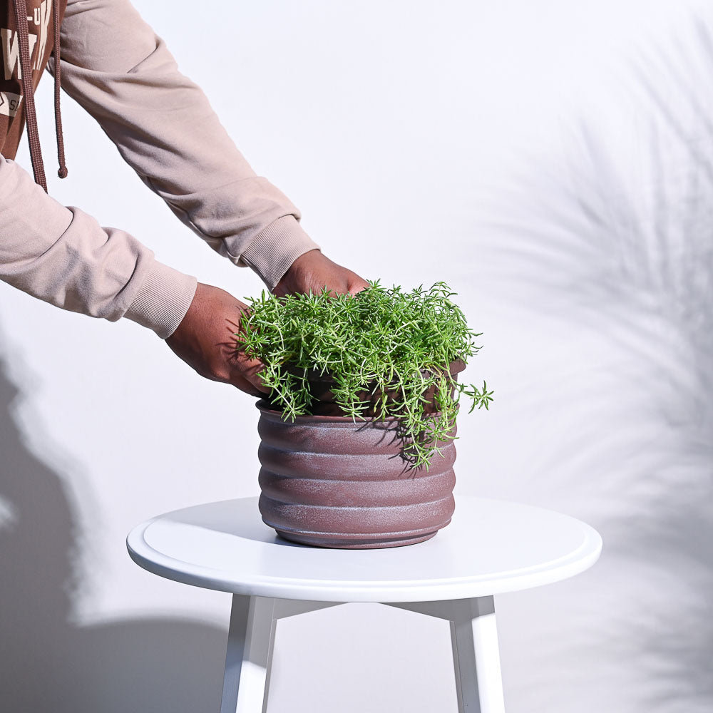 RidgeCraft Cylindrical Planter