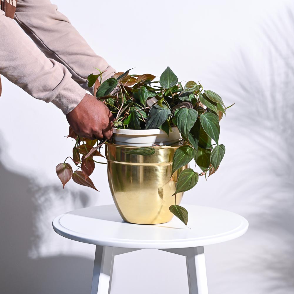 Golden Opulence Planter