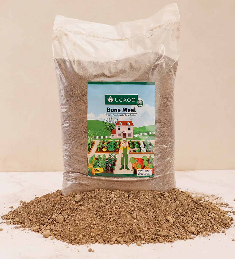 Bone meal on sale