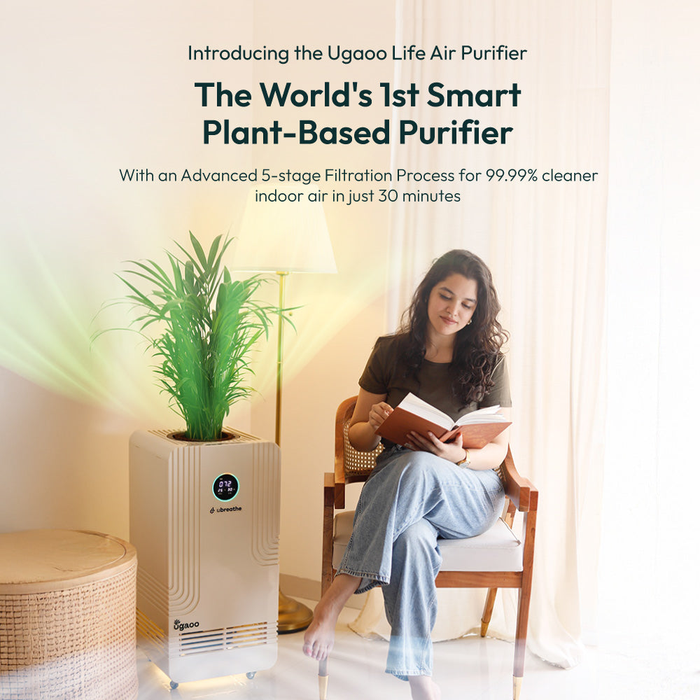 Smart air outlet purifier new