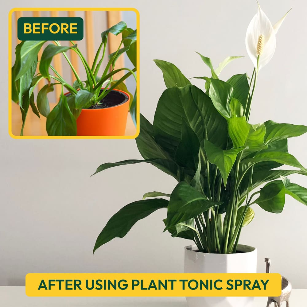 Plant Tonic Ready-To-Use Spray - 500 ml