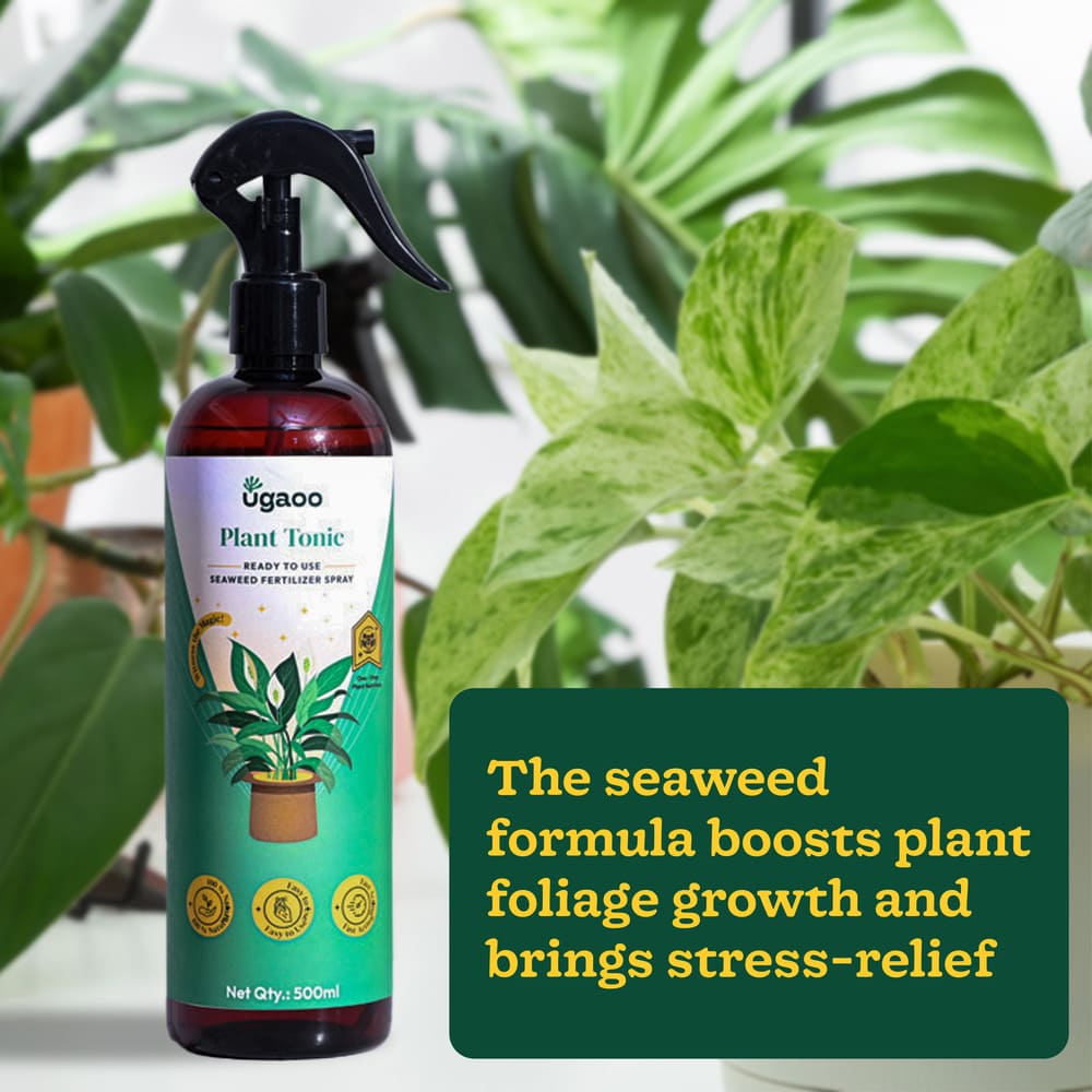 Plant Tonic Ready-To-Use Spray - 500 ml