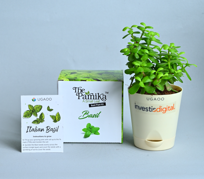 Greenery by Preetz - RETURN GIFTS 🍃 🎁 Succulent & Ceramic pot - Green Gift  🎁 #outfordelivery #greengifts #takeawaygifts Inbox, if you need green gifts  for your functions @greenery by preetz 🍃 | Facebook