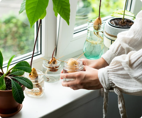 Kitchen Gardening