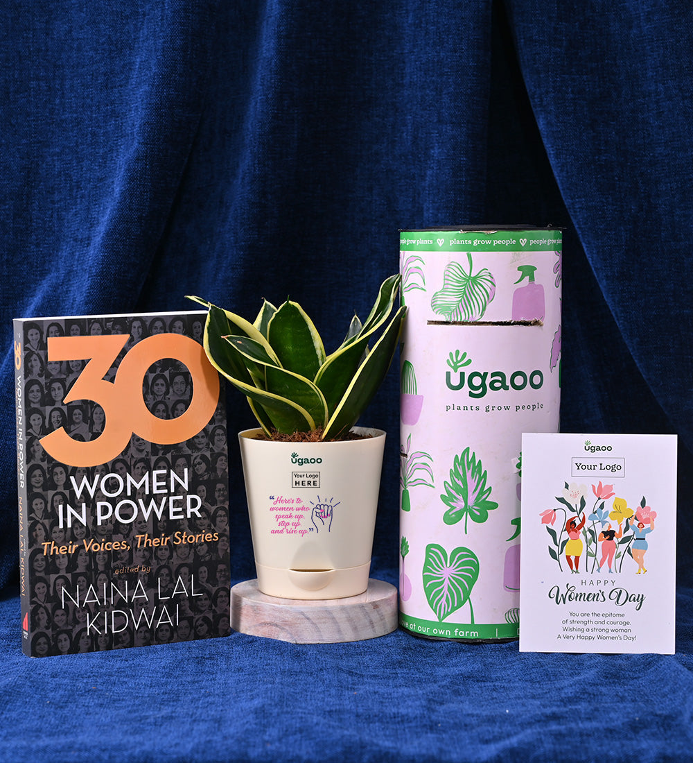 Snake Plant - Golden Hahnii with Book - 30 Women In Power