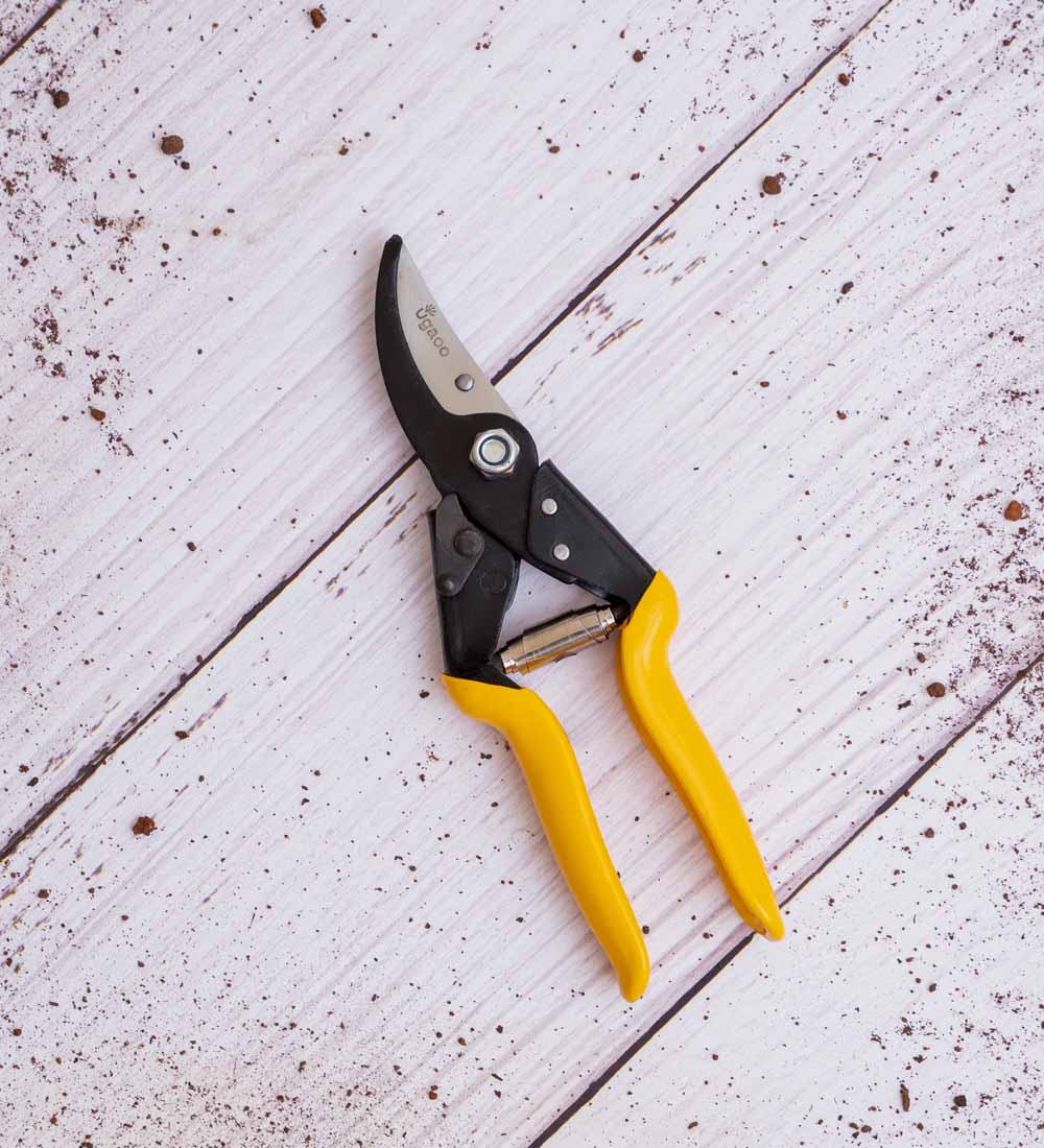 Heavy Duty Bypass Pruner