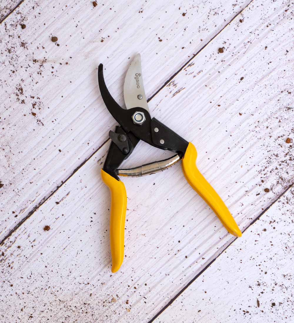 Heavy Duty Bypass Pruner