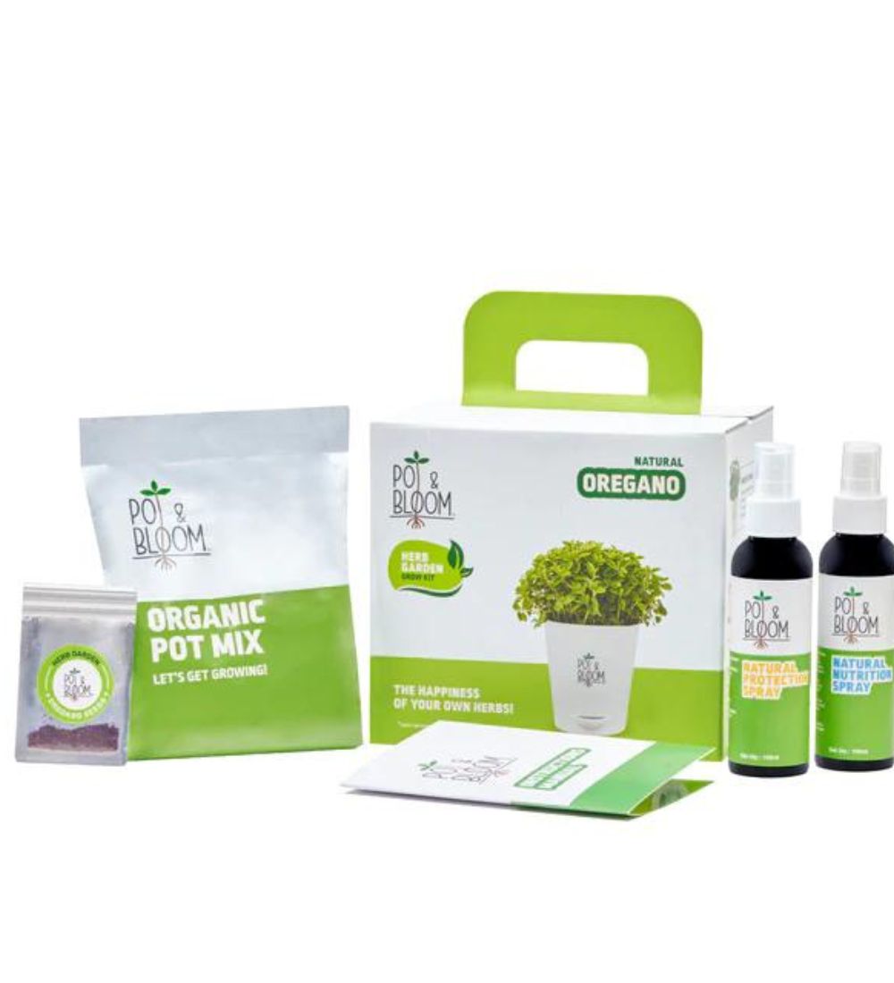 Oregano Grow Kit