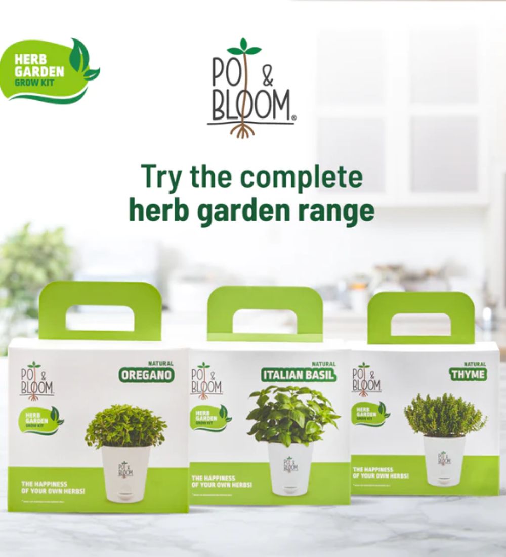 Oregano Grow Kit