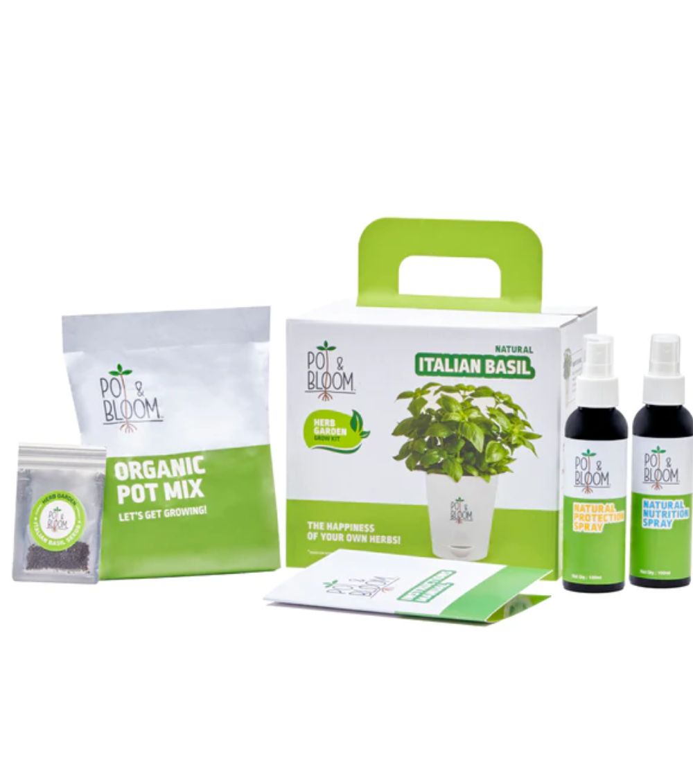 Italian Basil Grow Kit