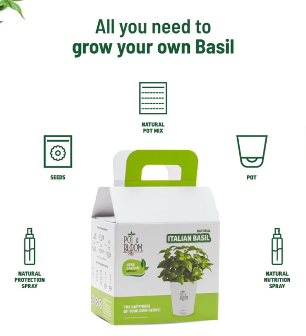 Italian Basil Grow Kit