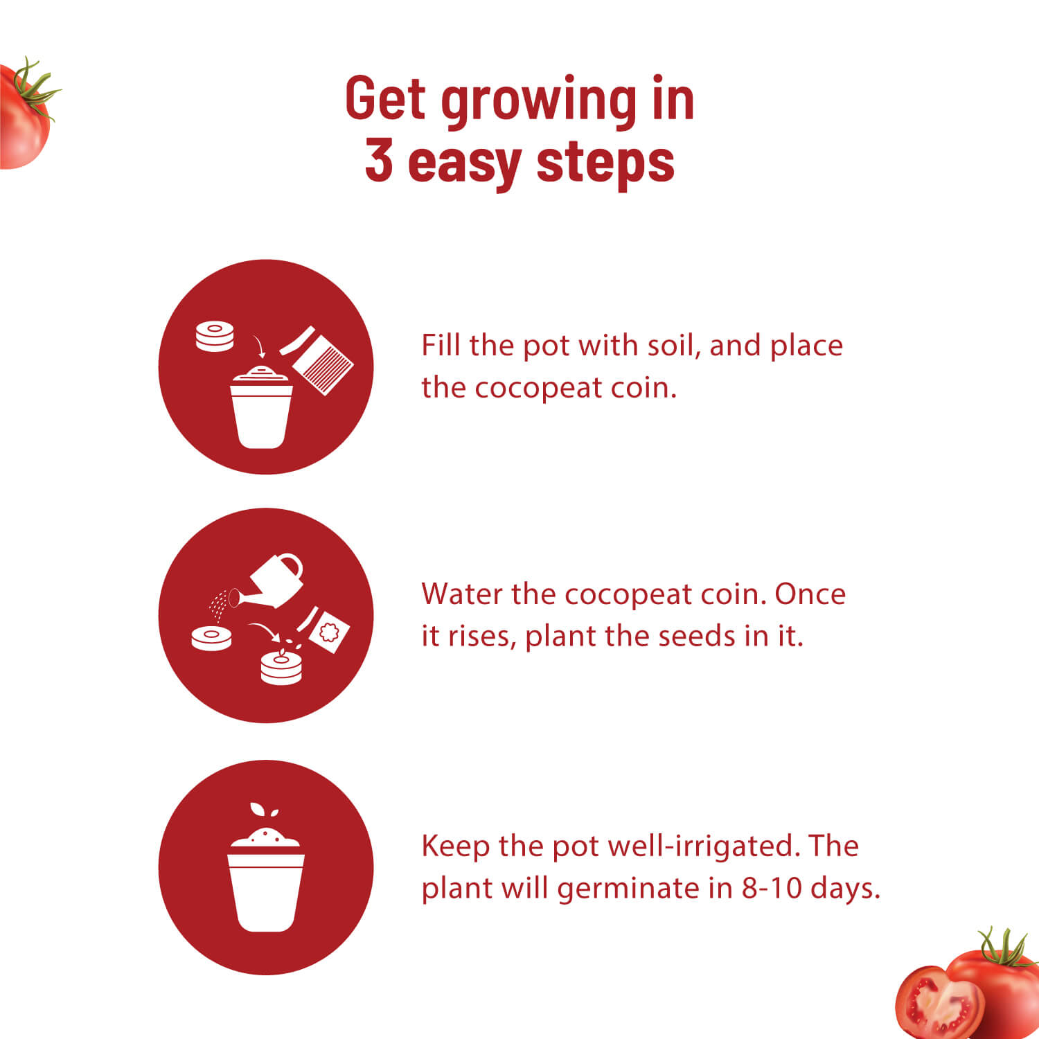 Cherry Tomato Grow Kit