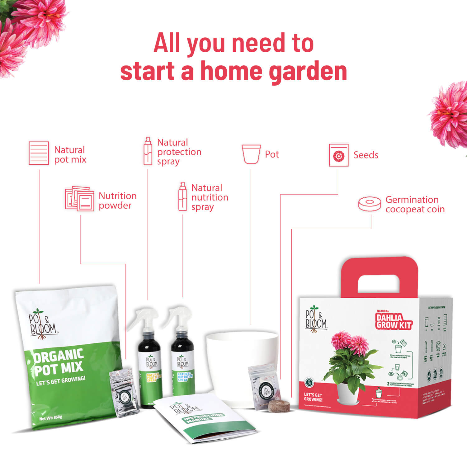 Dahlia Grow Kit