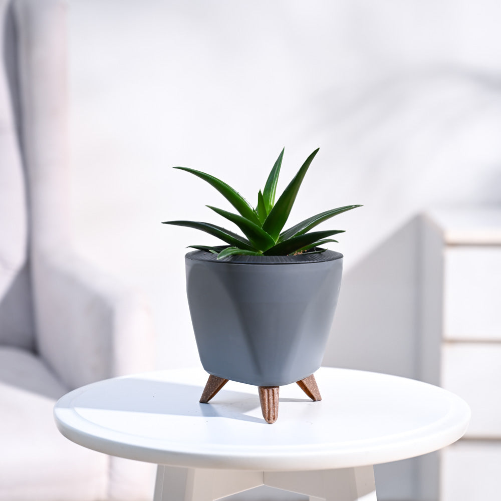 Lagos_Planter__Grey