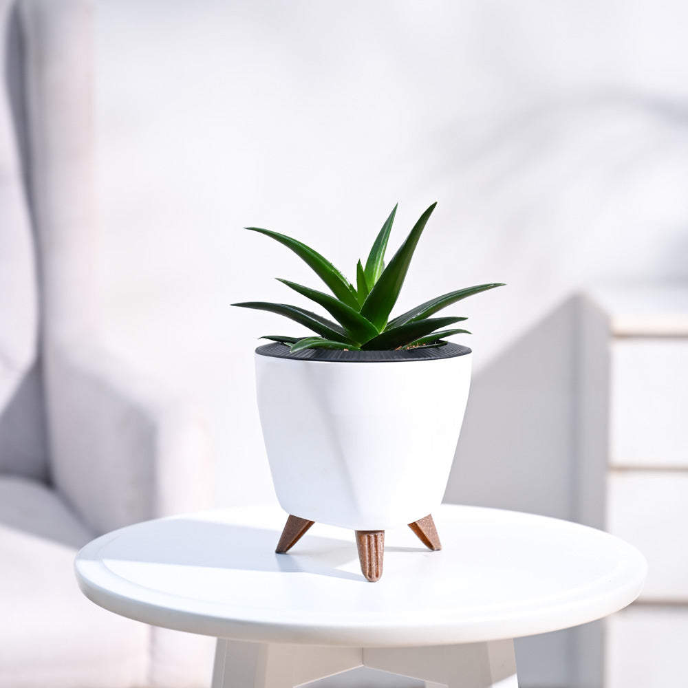 Lagos_Planter__White