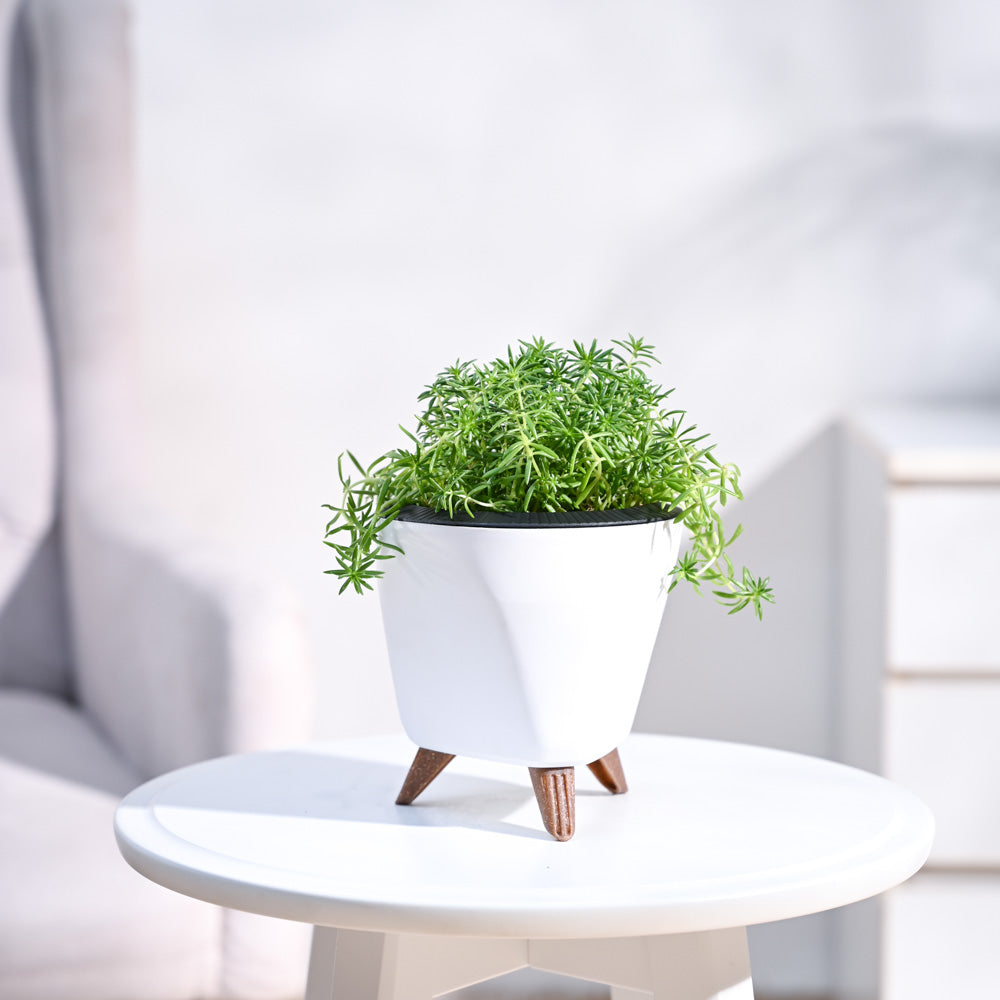 Lagos_Planter__White