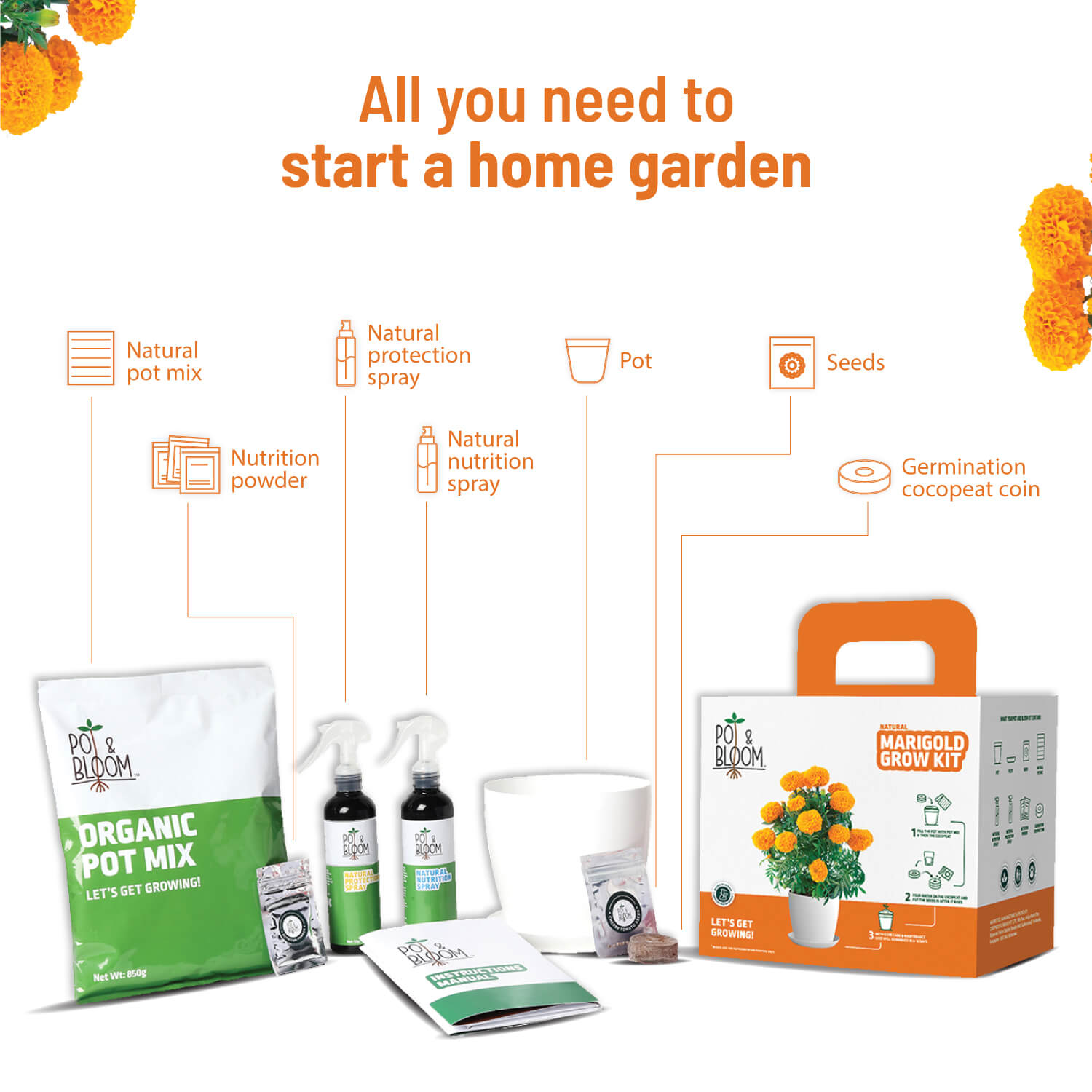 Marigold Grow Kit