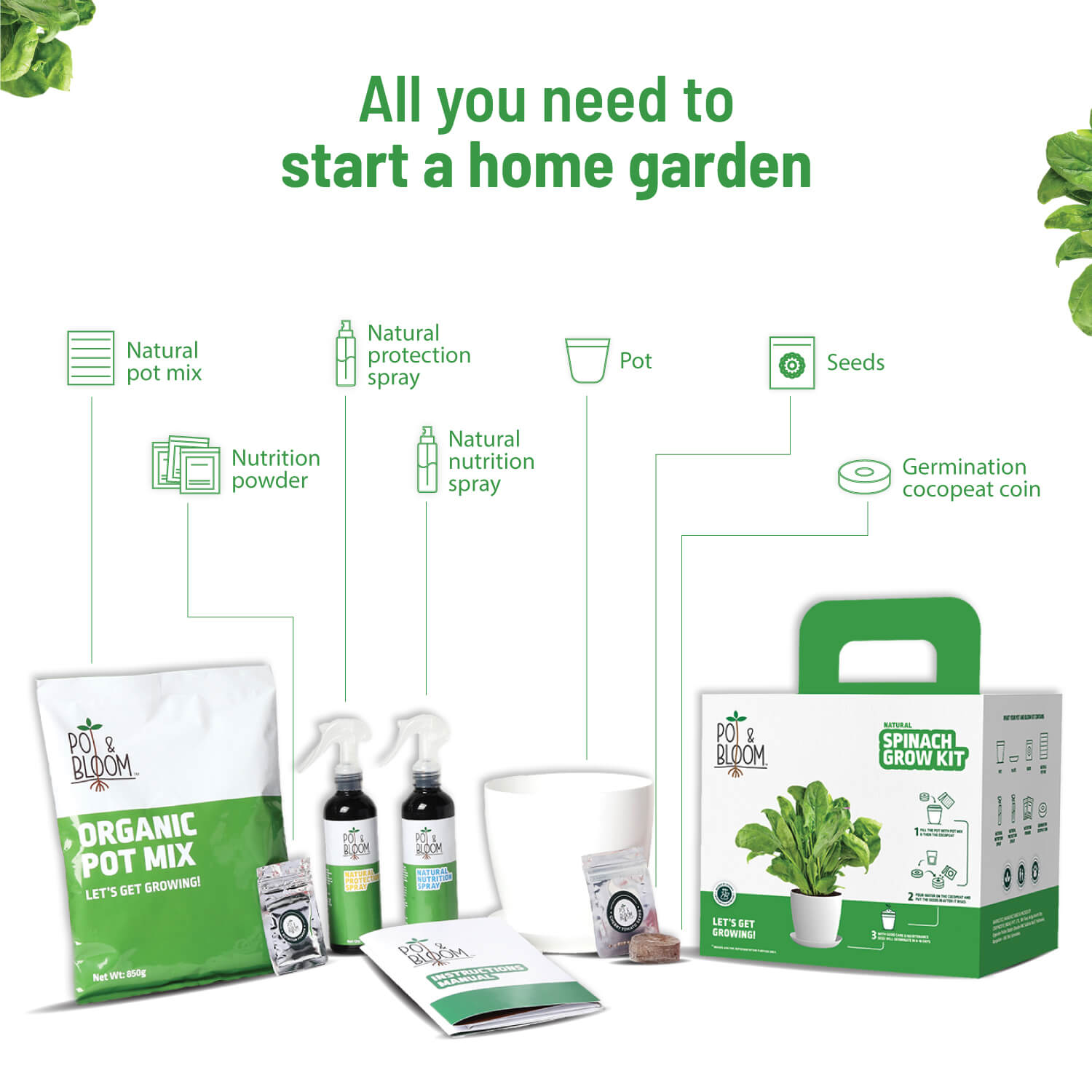 Spinach Grow Kit