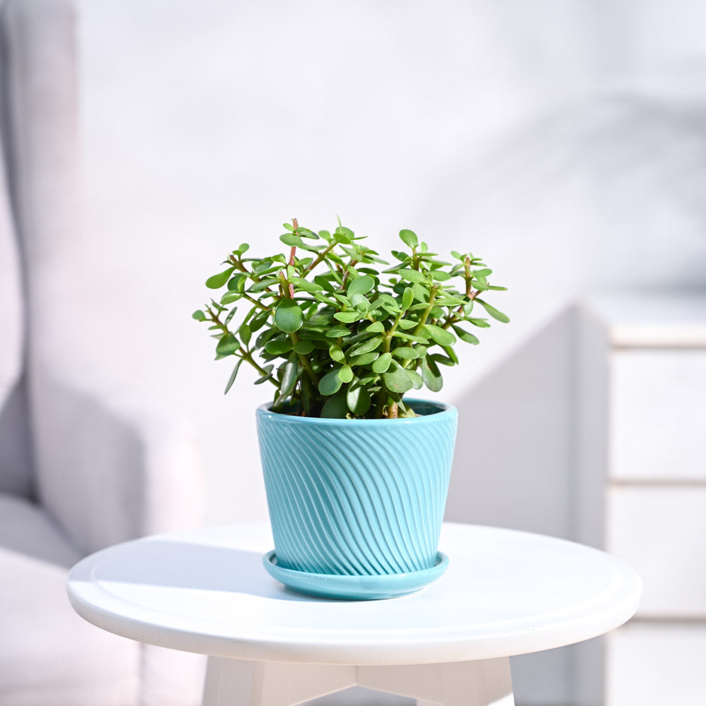 small_ceramic-pot_turquoise-blue