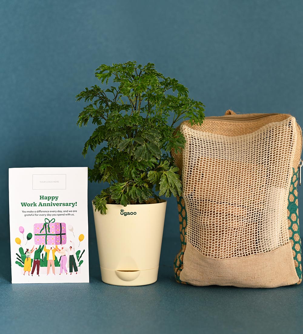 Aralia Climate Jute Bag