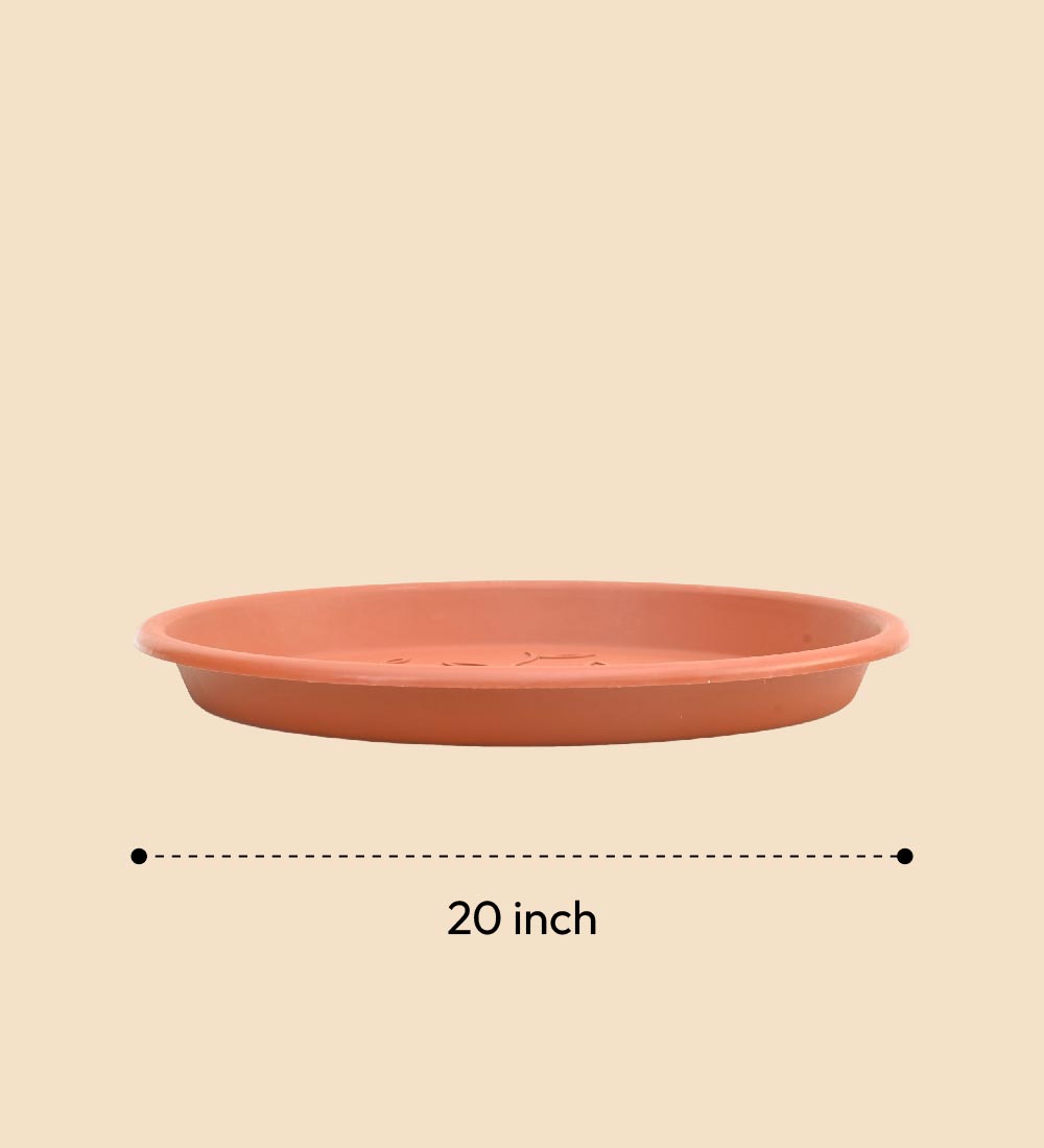 Gardening Plates - Terracotta Color