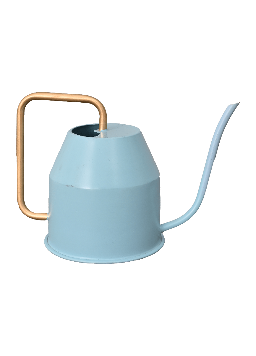 Calypso Watering Can - Sky Blue &amp; gold