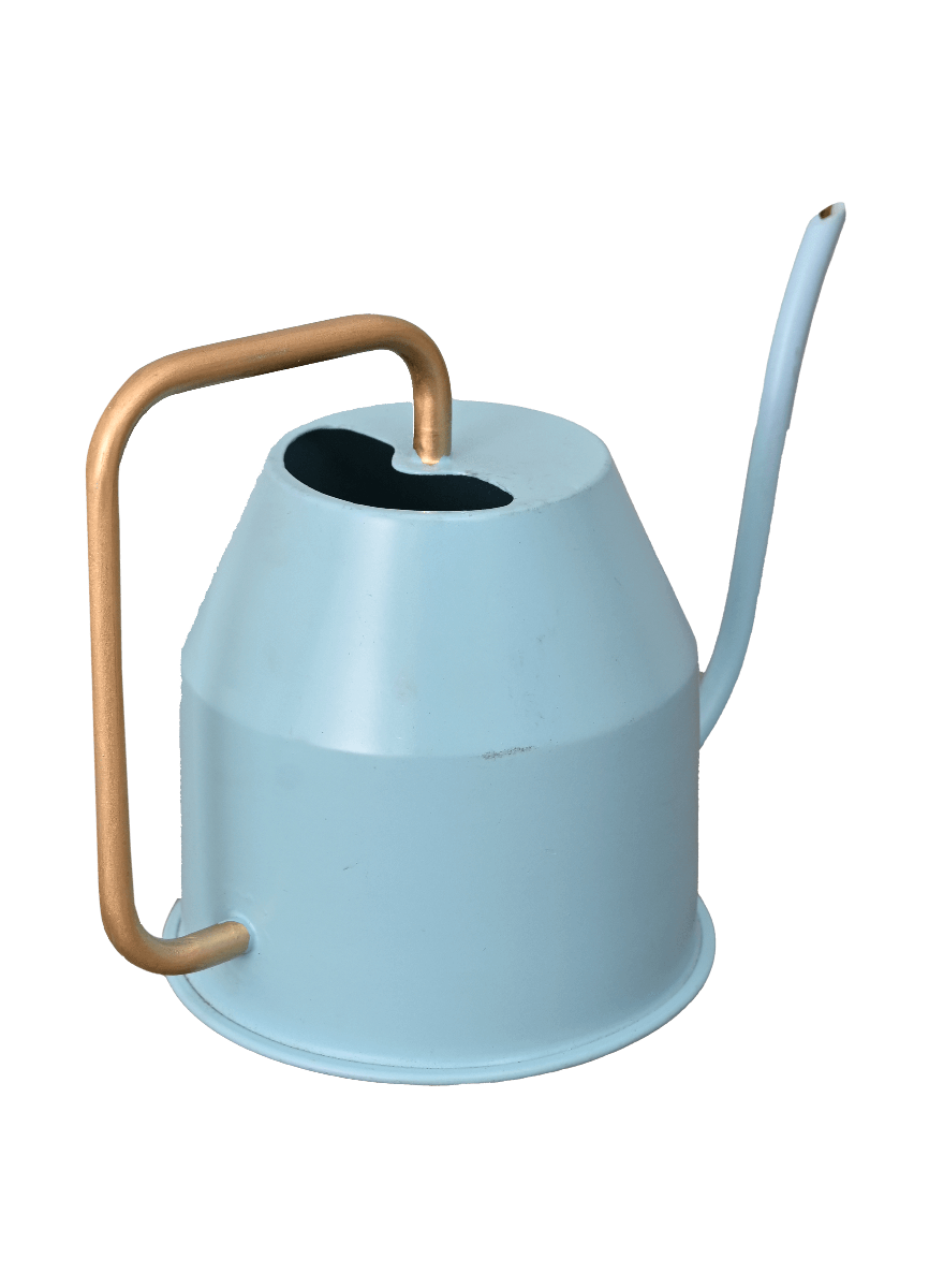 Calypso Watering Can - Sky Blue &amp; gold