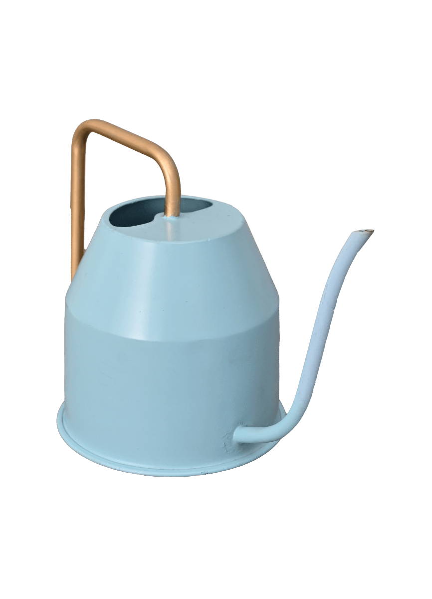 Calypso Watering Can - Sky Blue &amp; gold