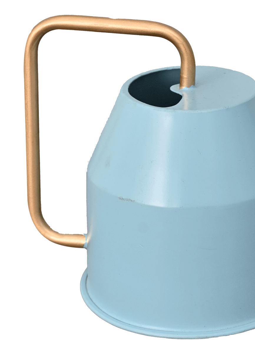 Calypso Watering Can - Sky Blue &amp; gold