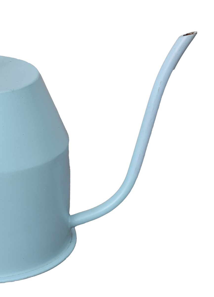 Calypso Watering Can - Sky Blue &amp; gold