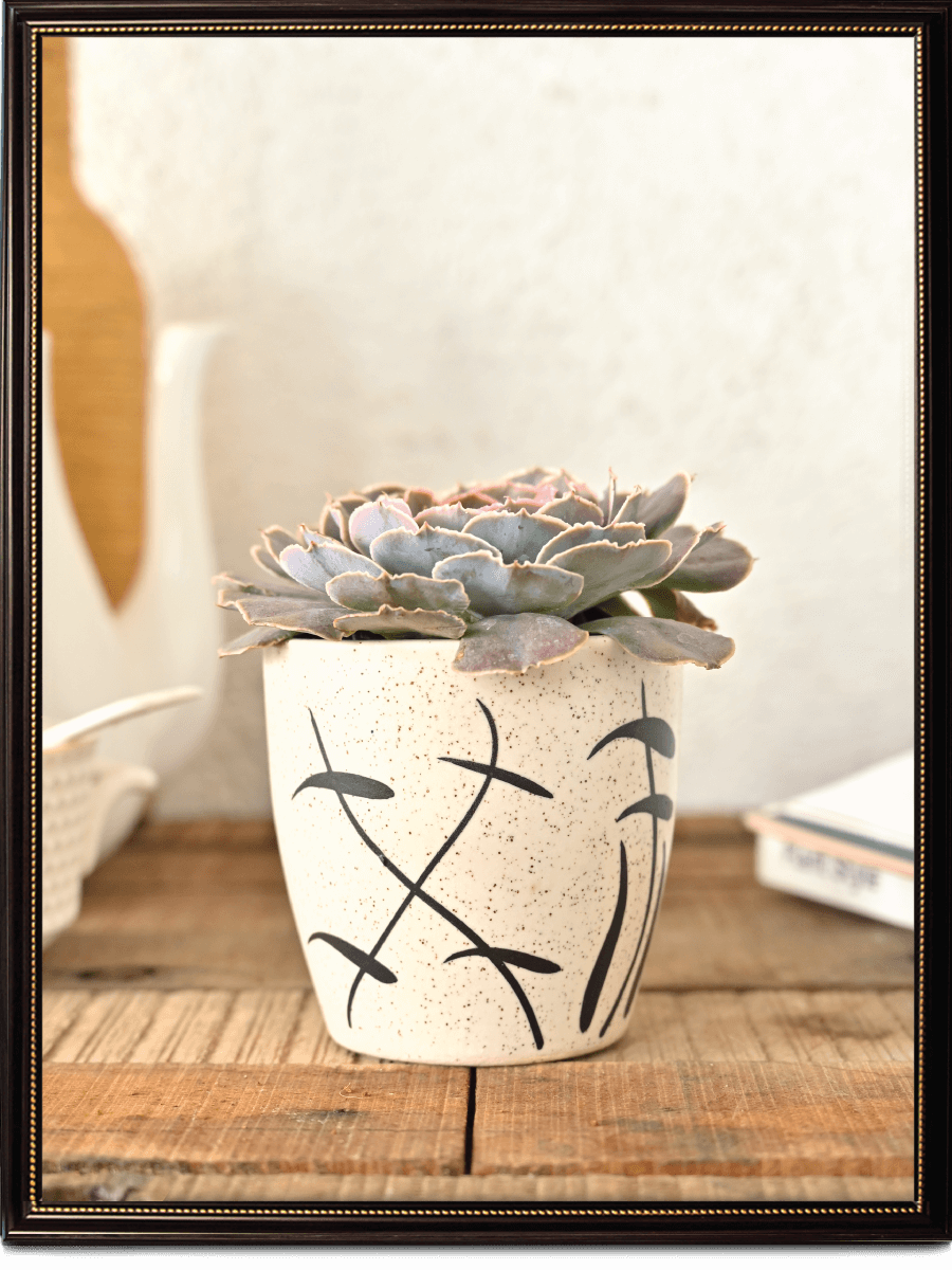 Damru Matte Finish Ceramic Pot (3.6 Inch Diameter)