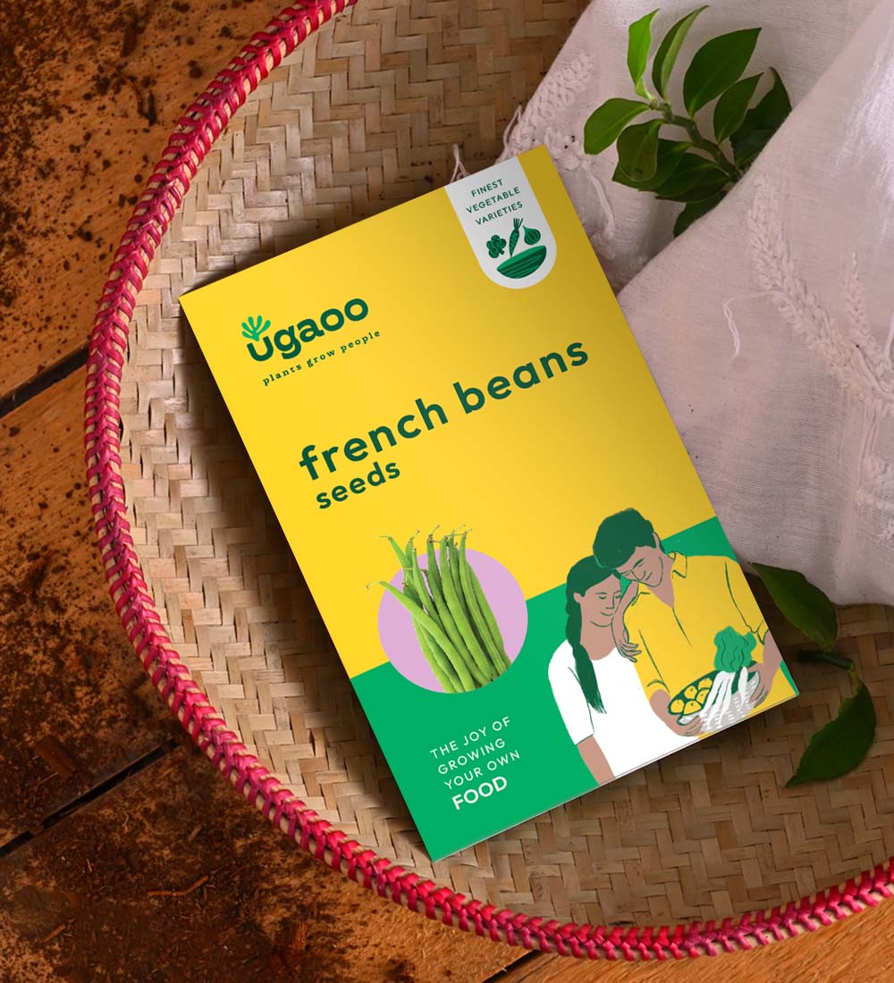 French Bean Seeds