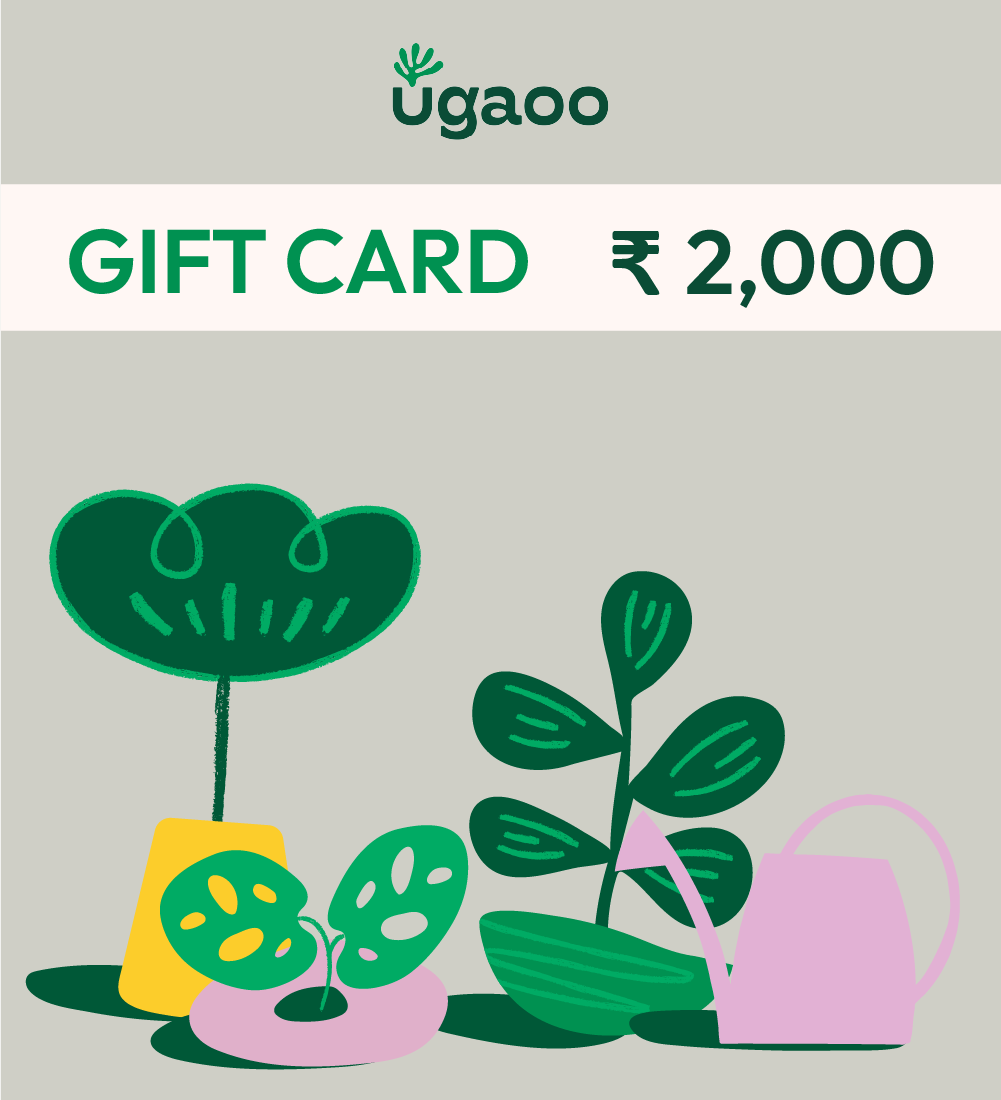 Ugaoo E-Gift Card