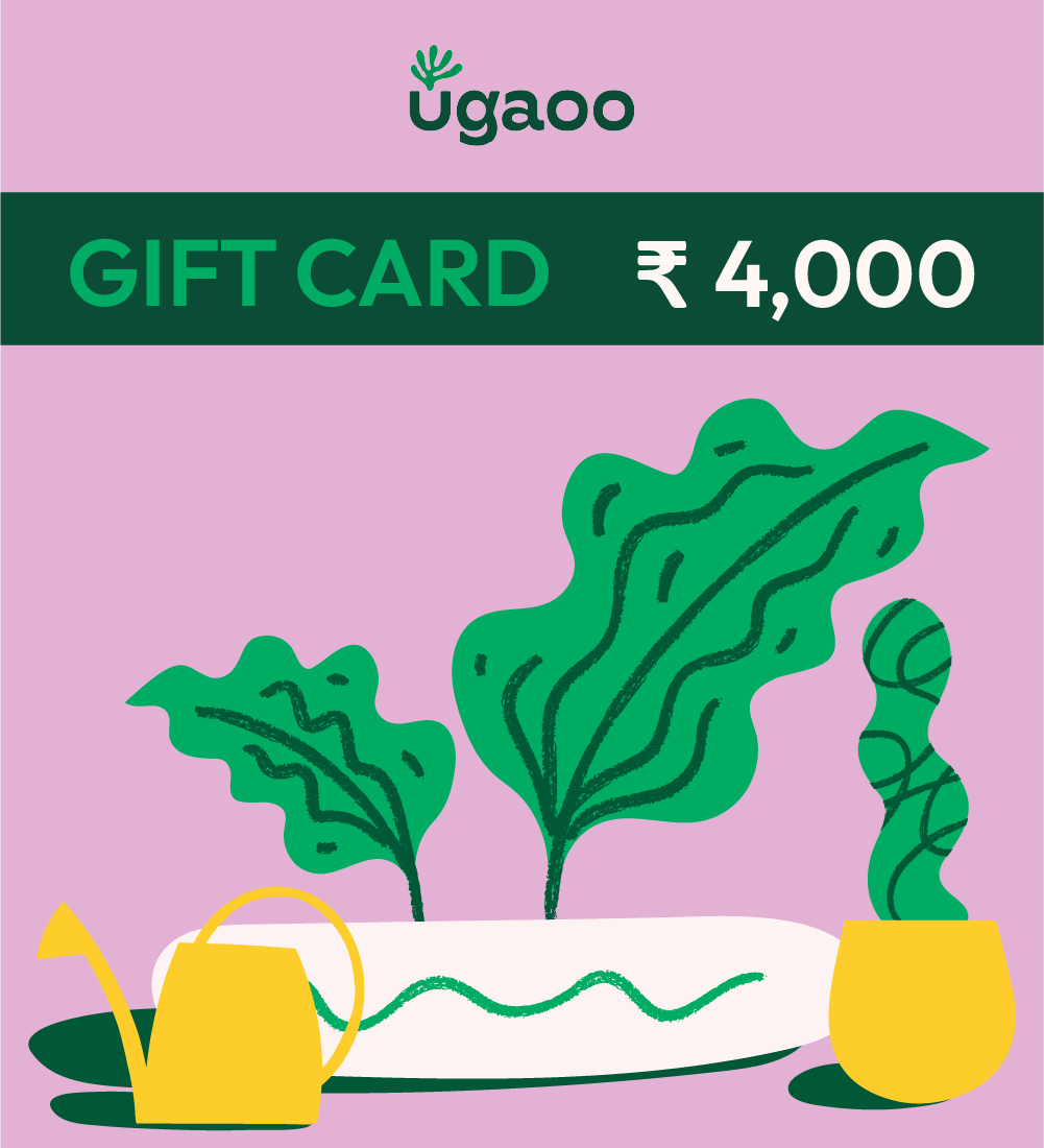 Ugaoo E-Gift Card