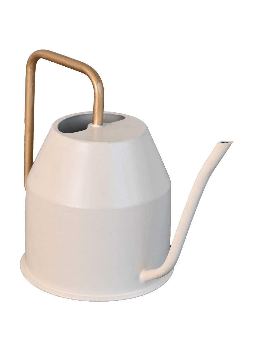 Haifoss Watering Can - Ivory &amp; Gold