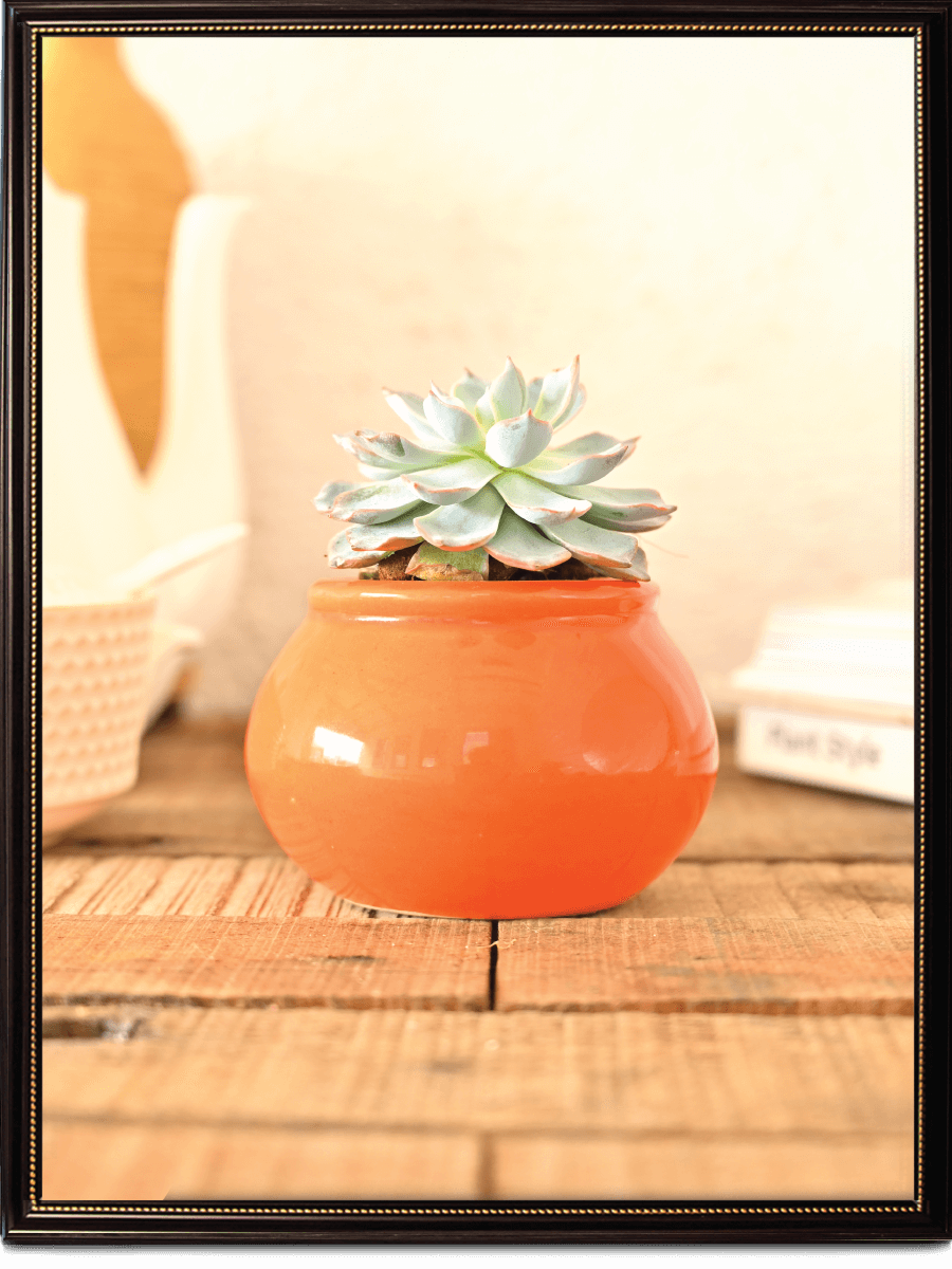 Handi Ceramic Pot (4 Inch Diameter)