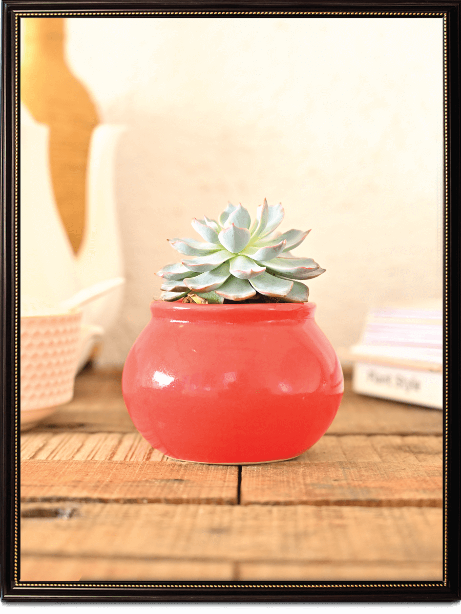 Handi Ceramic Pot (4 Inch Diameter)