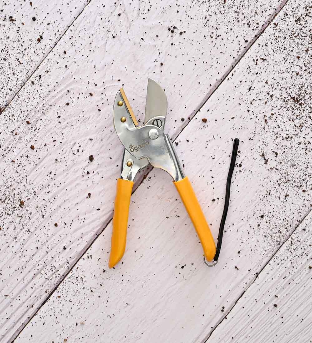 Heavy Duty Anvil Pruner