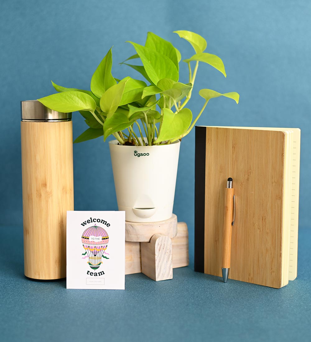 Plant Eco-Friendly Employee Kit