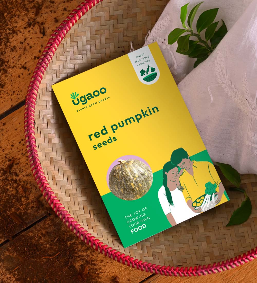 Red Pumpkin Seeds