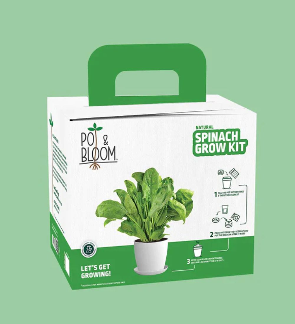 Spinach Grow Kit