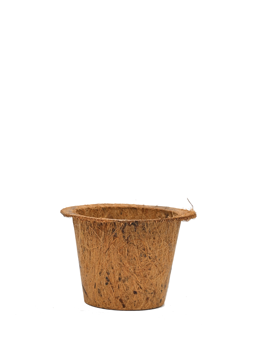 The Ugaoo Coco Coir Pots