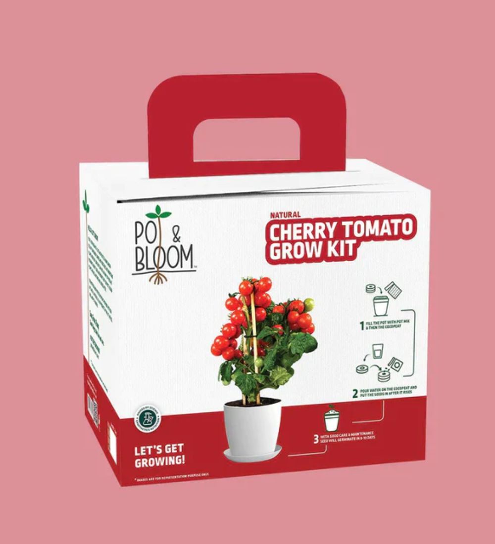 Cherry Tomato Grow Kit