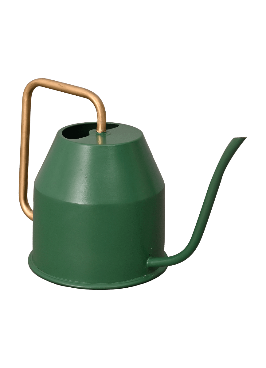 Tropical Forest Watering Can - Green &amp; Gold