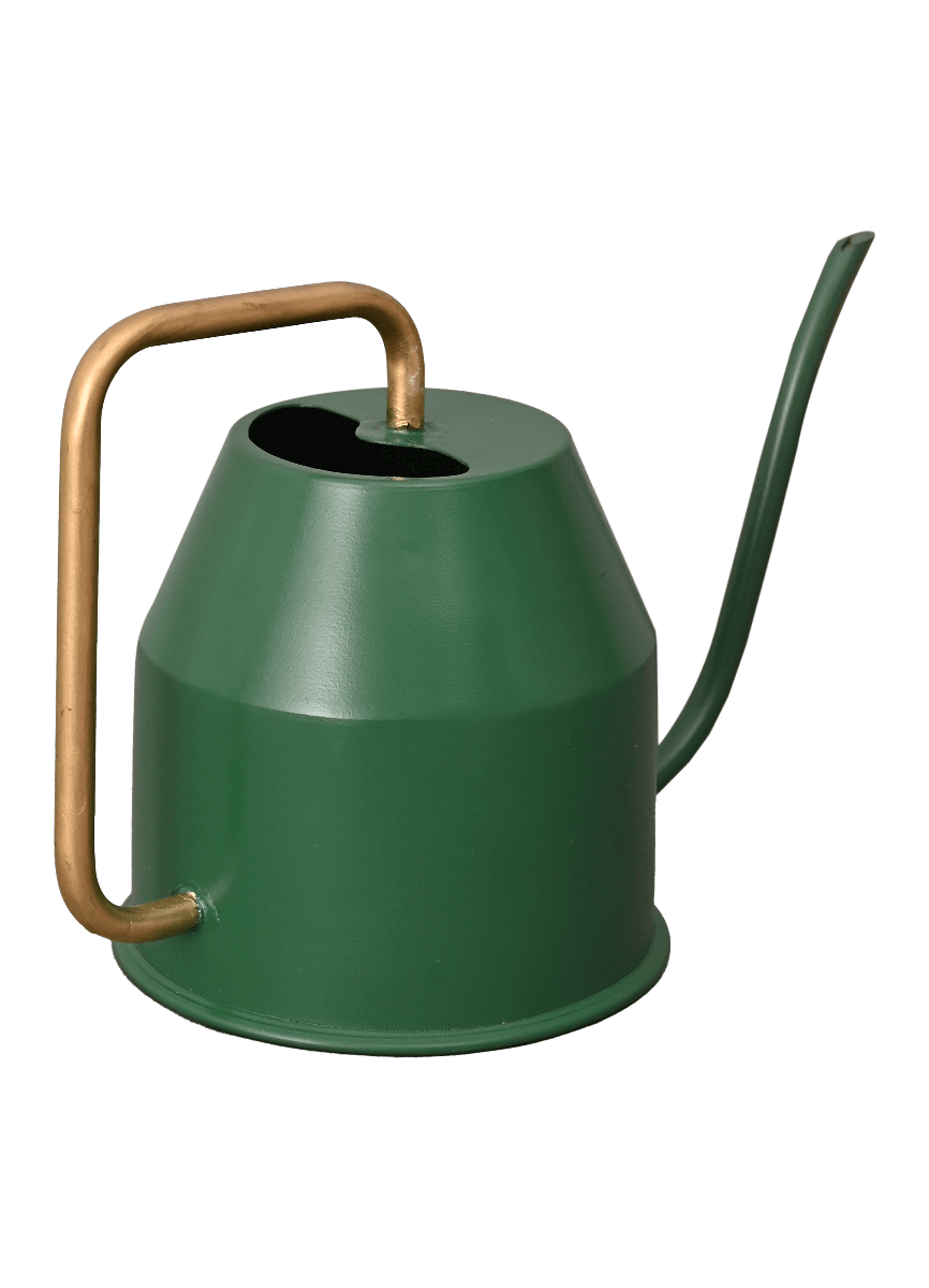 Tropical Forest Watering Can - Green &amp; Gold