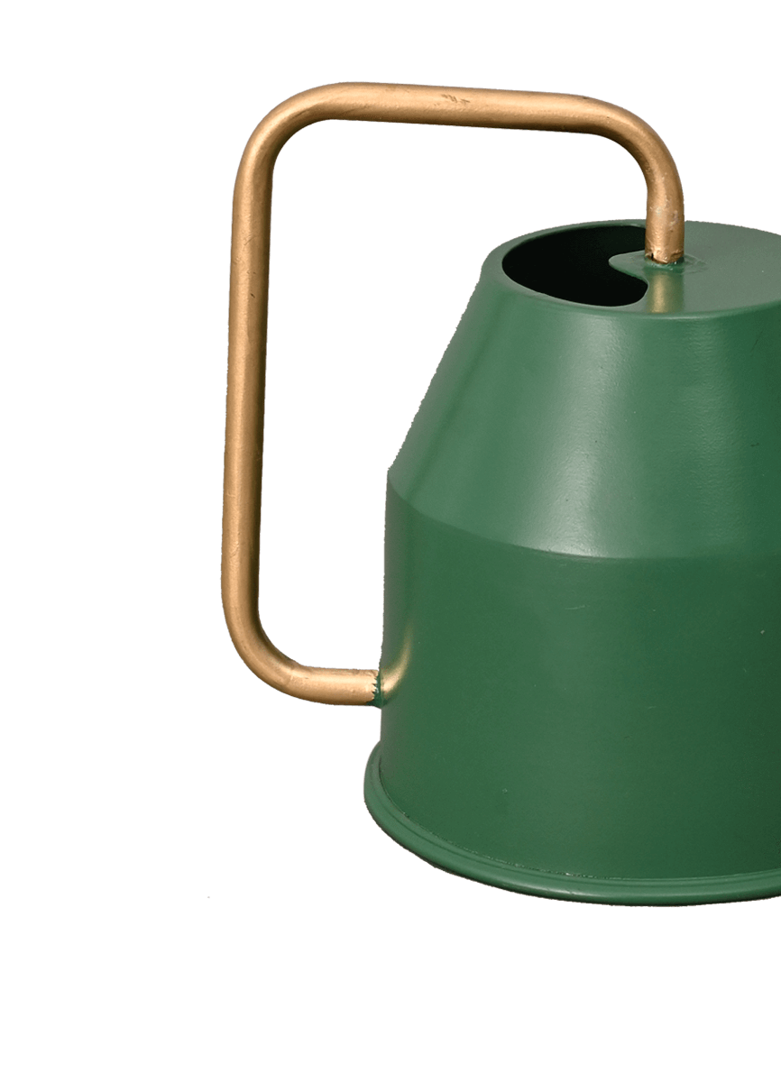 Tropical Forest Watering Can - Green &amp; Gold